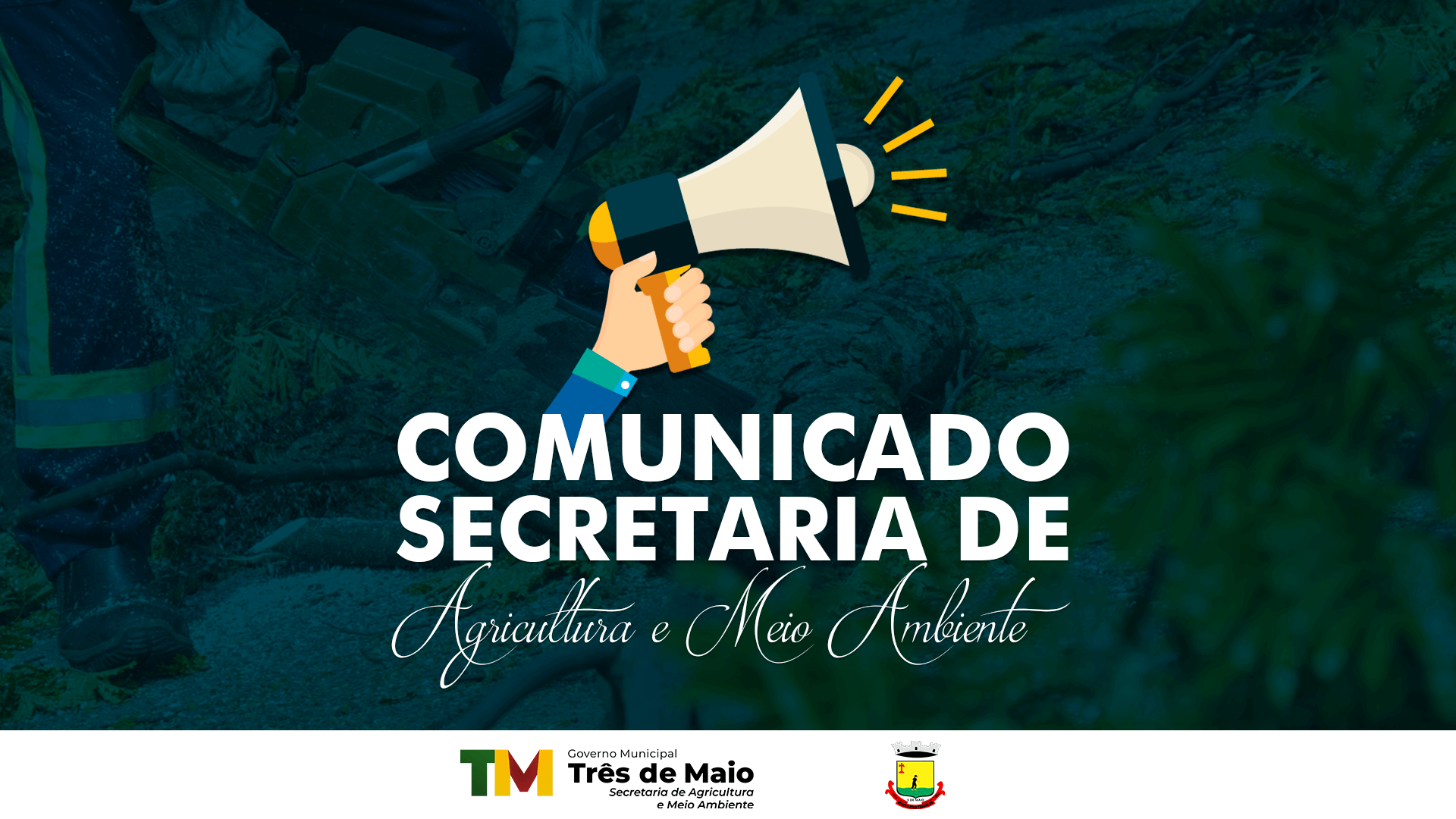 RECOLHIMENTO DE RESÍDUOS DE PODAS EM ÁREAS PARTICULARES É DE RESPONSABILIDADE DO MUNÍCIPE